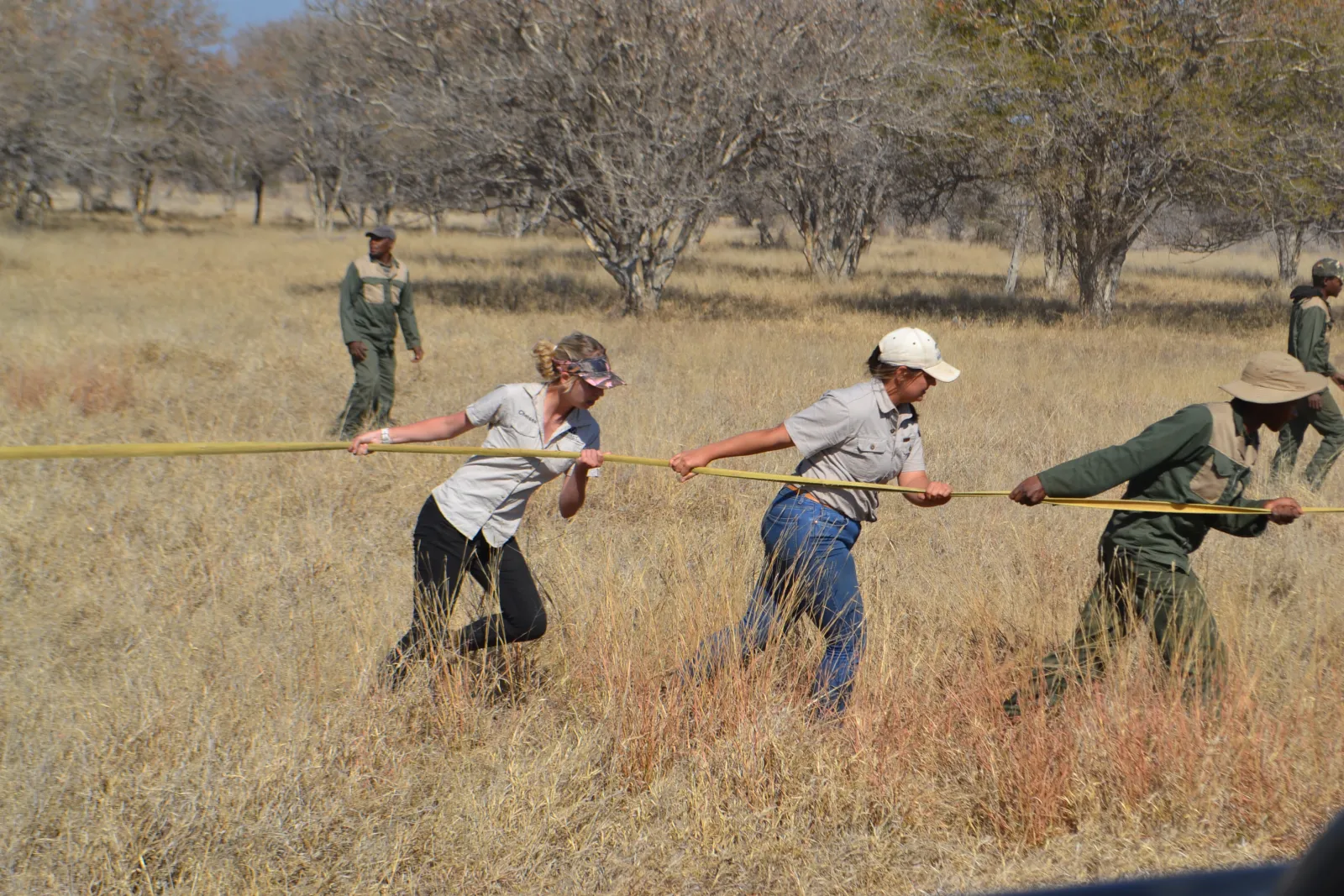 Team hauling rope on a Wildvang capture day