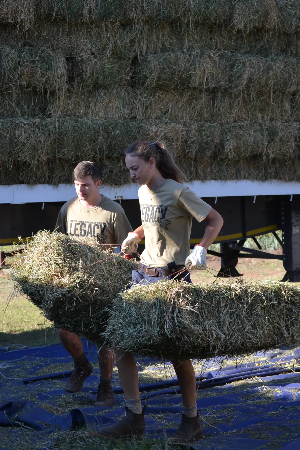 Moving feed bales on a working ranch